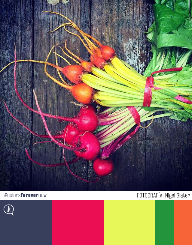 img_6414-nigelslater2